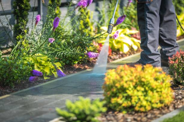 Reliable Oakville, MO Pressure Washing Services Solutions